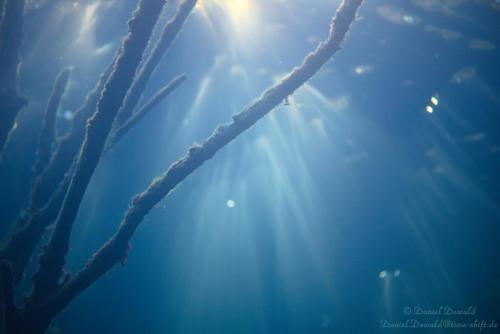 Rays from above