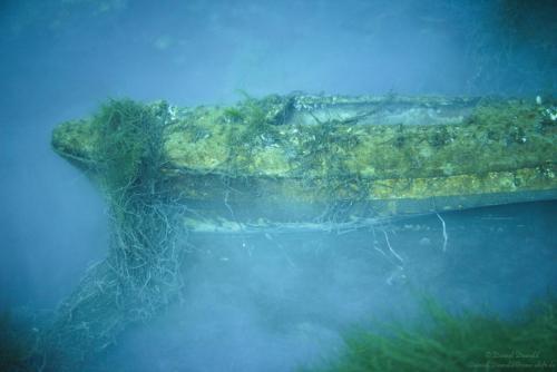 Boat in the mist